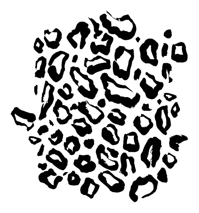 Animal Pattern  SVG Design | SVG Files for Cricut & Print