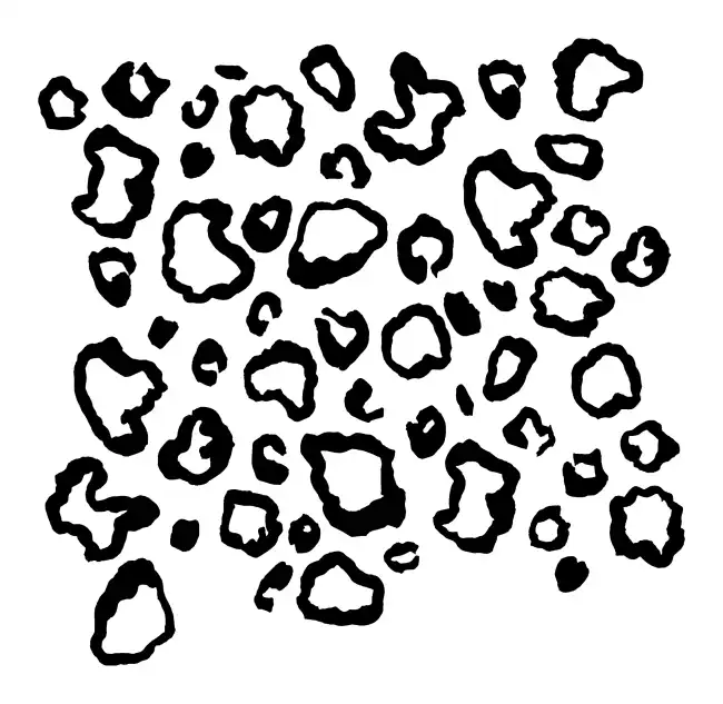 Animal Pattern  SVG Design | SVG Files for Cricut & Print