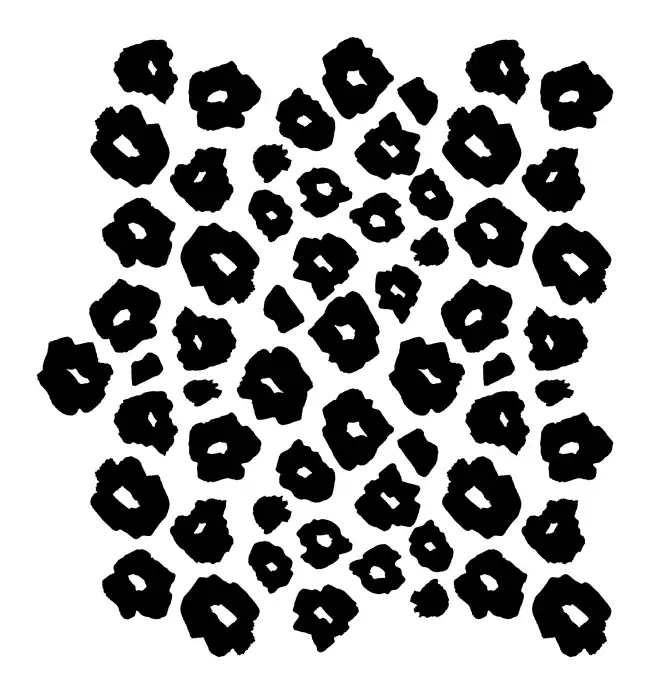 Animal Pattern  SVG Design | SVG Files for Cricut & Print