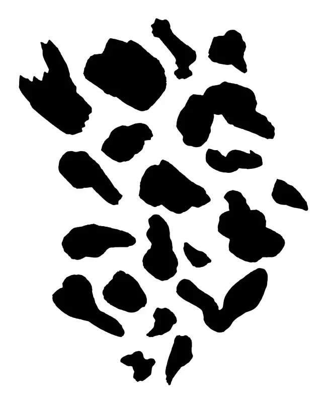 Animal Pattern  SVG Design | SVG Files for Cricut & Print