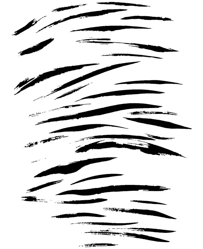 Animal Pattern  SVG Design | SVG Files for Cricut & Print