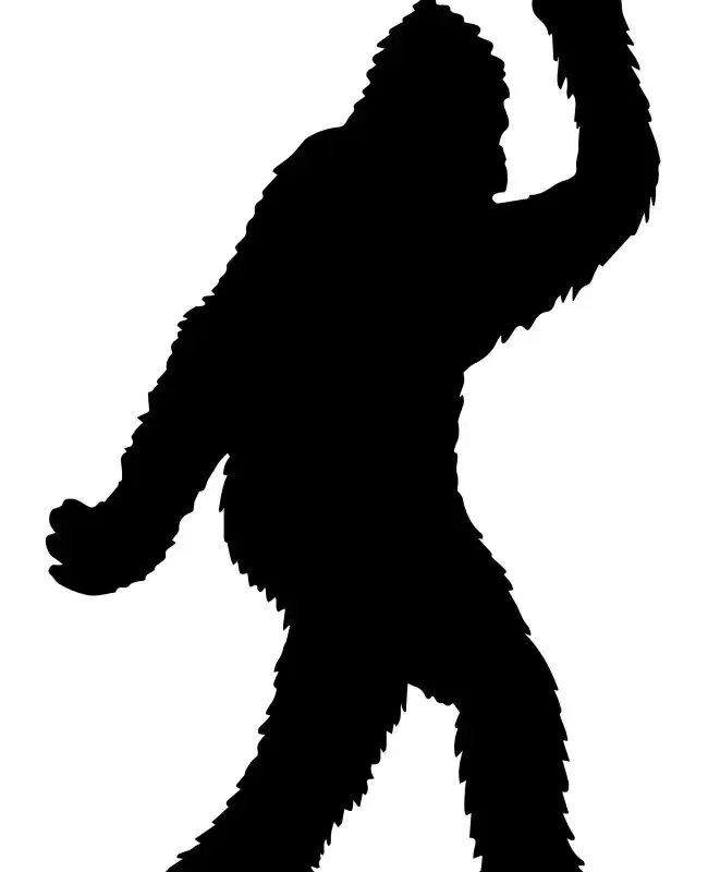 Bigfoot Walking Showing Fuck SVG Design | SVG Files for Cricut & Print
