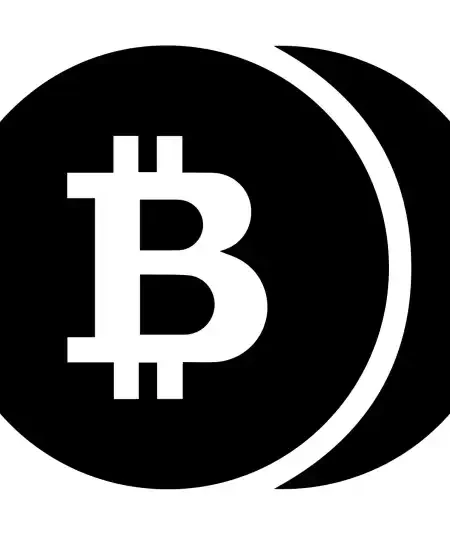 Bitcoin Coins SVG Design | SVG Files for Cricut & Print
