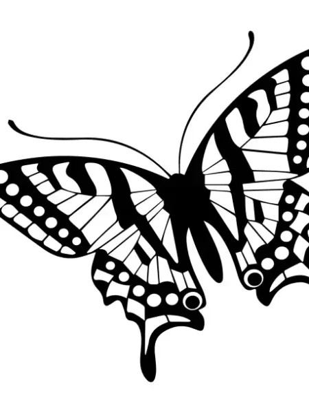 Butterflies  SVG Design | SVG Files for Cricut & Print