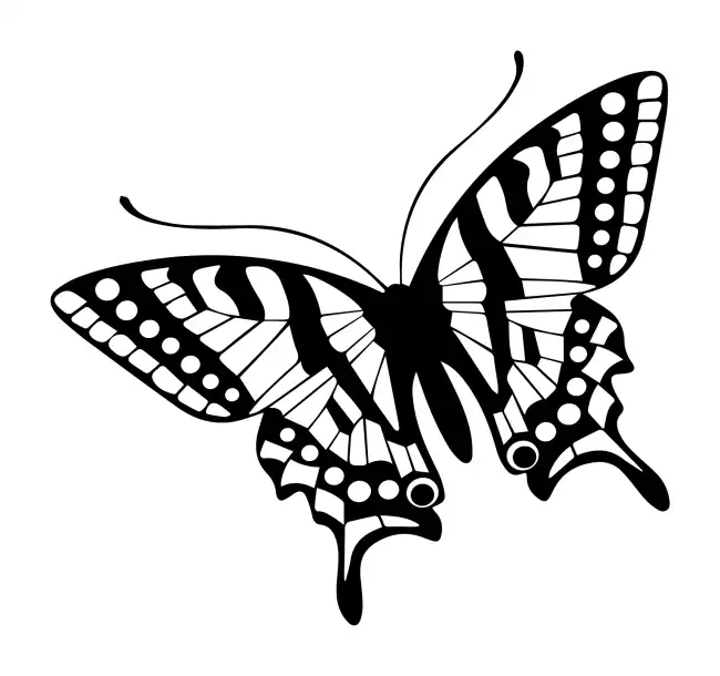 Butterflies SVG Design | SVG Files for Cricut & Print