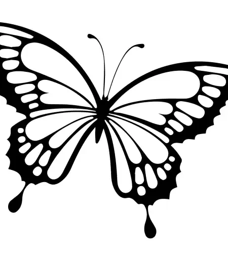 Butterflies  SVG Design | SVG Files for Cricut & Print