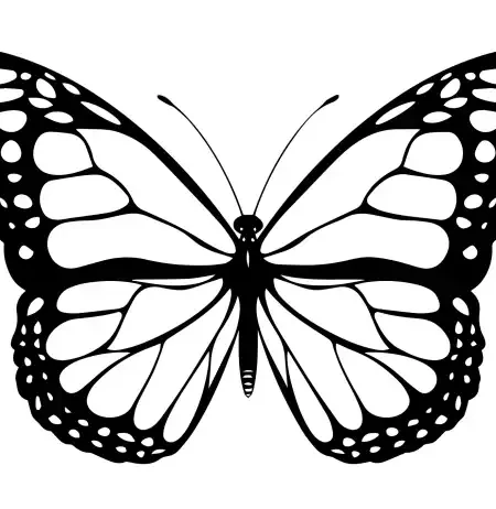 Butterflies  SVG Design | SVG Files for Cricut & Print