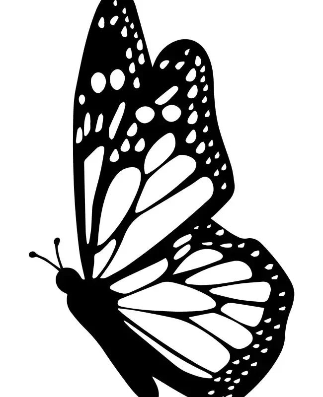 Butterflies  SVG Design | SVG Files for Cricut & Print
