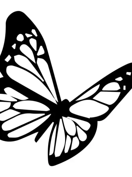 Butterflies  SVG Design | SVG Files for Cricut & Print