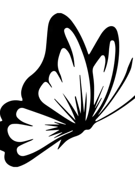 Butterflies  SVG Design | SVG Files for Cricut & Print