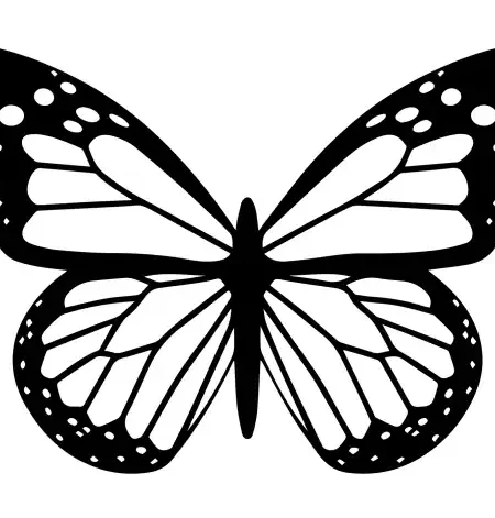 Butterflies  SVG Design | SVG Files for Cricut & Print