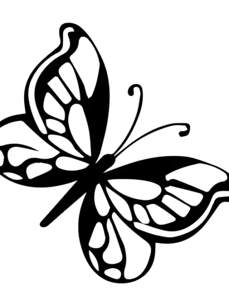 Butterflies  SVG Design | SVG Files for Cricut & Print