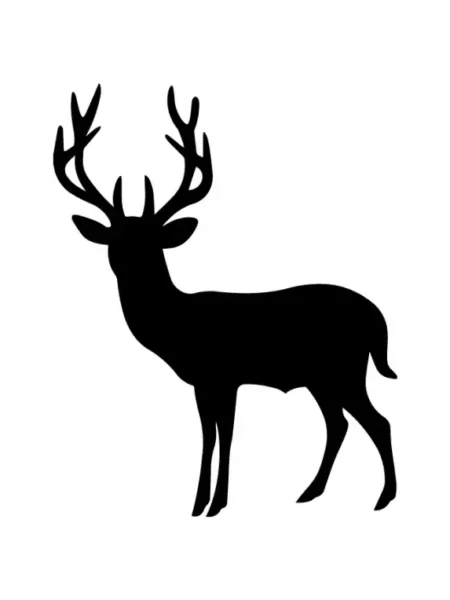 Christmas  SVG Design | SVG Files for Cricut & Print