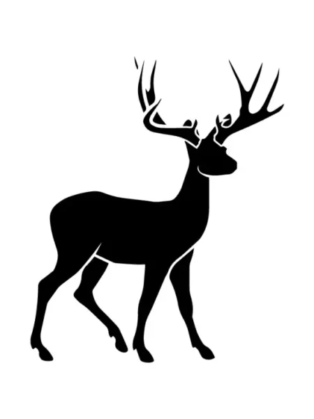 Christmas  SVG Design | SVG Files for Cricut & Print