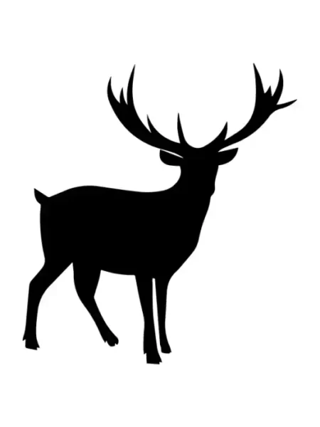 Christmas  SVG Design | SVG Files for Cricut & Print