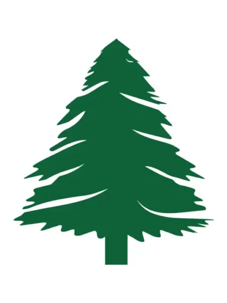 Christmas  SVG Design | SVG Files for Cricut & Print