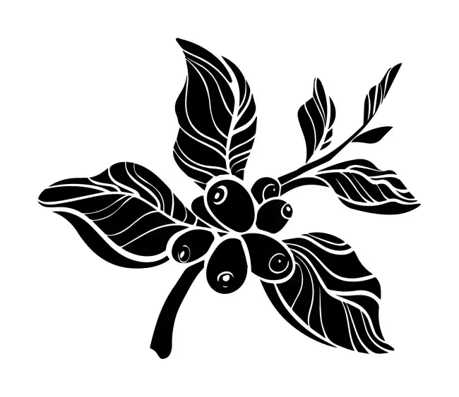 Coffee  SVG Design | SVG Files for Cricut & Print