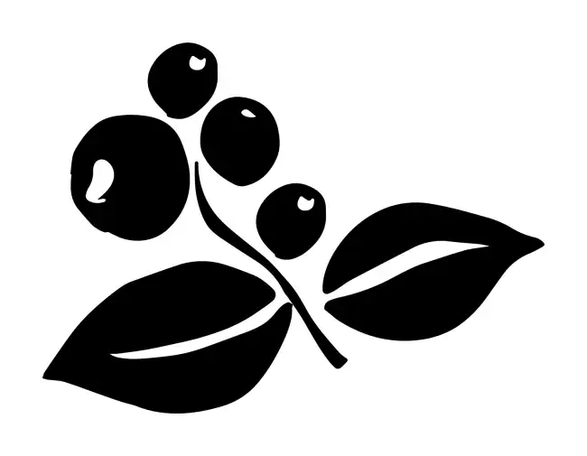 Coffee  SVG Design | SVG Files for Cricut & Print