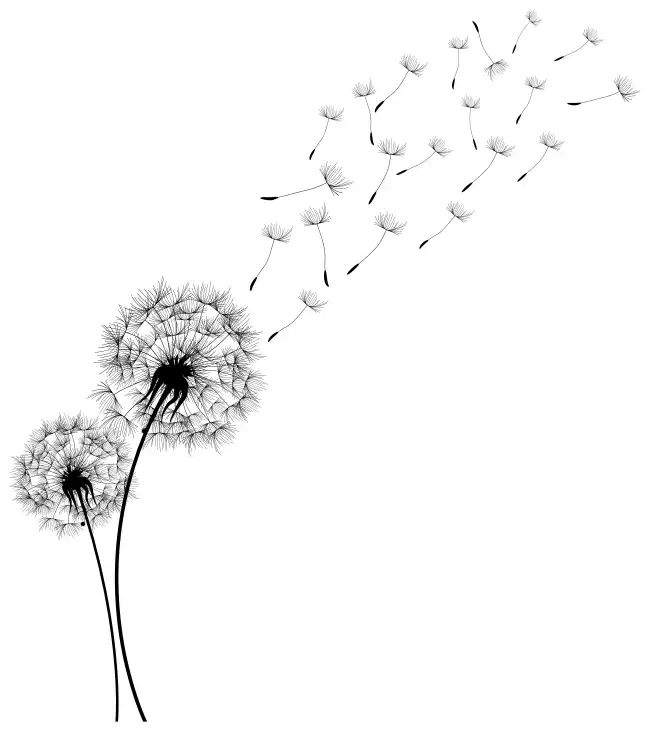 Dandelion  SVG Design | SVG Files for Cricut & Print