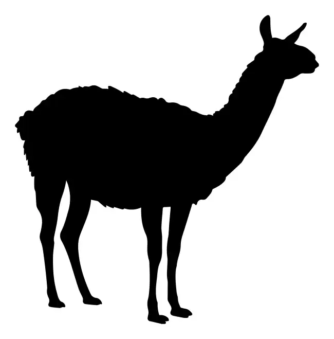 Llama  SVG Design | SVG Files for Cricut & Print