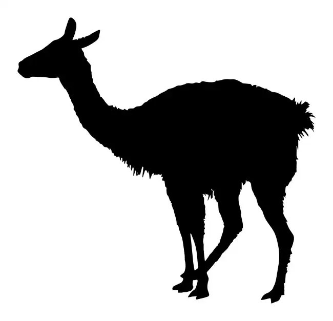 Llama  SVG Design | SVG Files for Cricut & Print