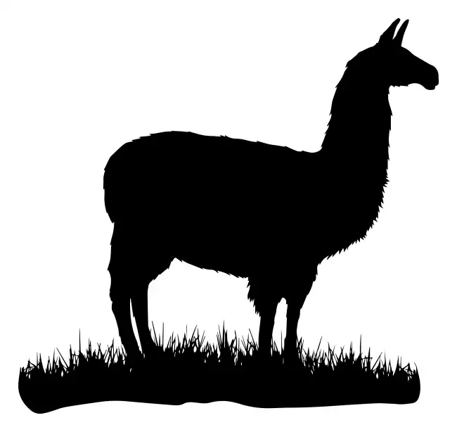 Llama  SVG Design | SVG Files for Cricut & Print