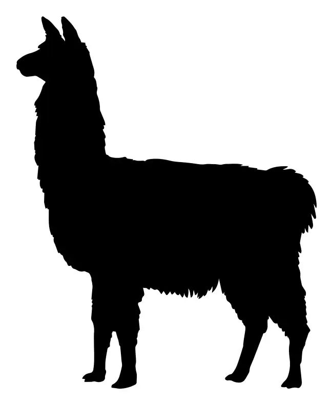 Llama  SVG Design | SVG Files for Cricut & Print
