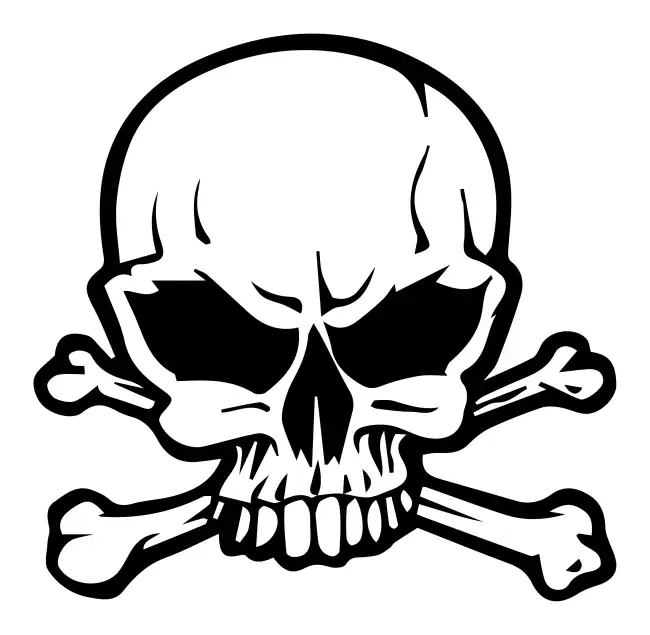 Skull Head  SVG Design | SVG Files for Cricut & Print