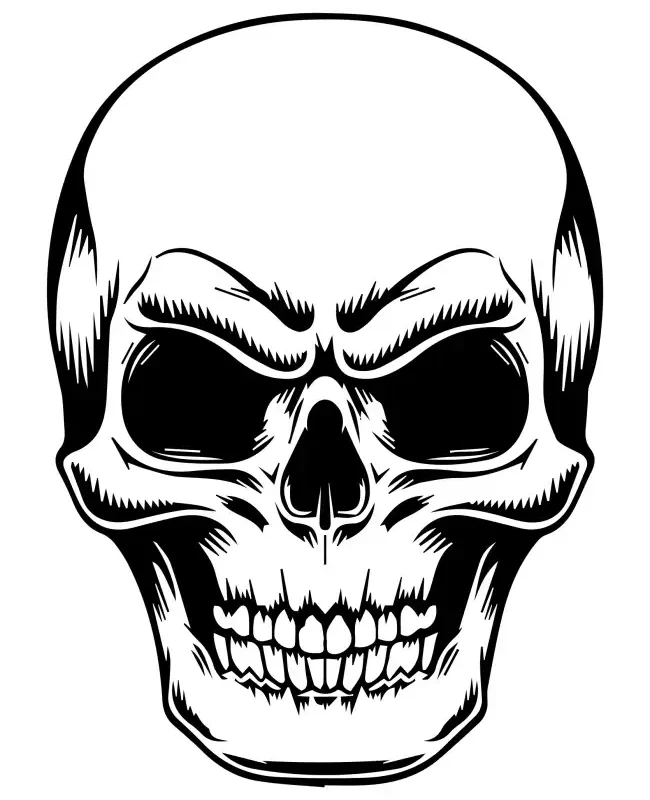 Skull Head  SVG Design | SVG Files for Cricut & Print