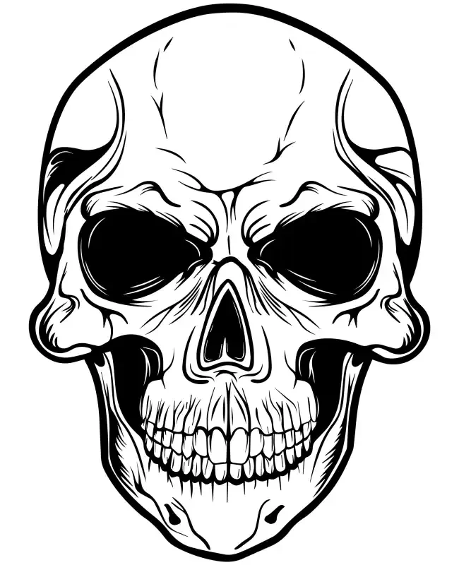 Skull Head  SVG Design | SVG Files for Cricut & Print