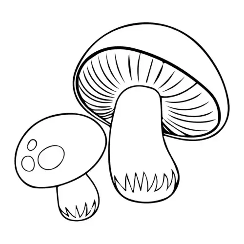 Alice In Wonderland SVG Design | SVG Files for Cricut & Print