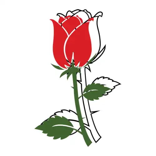 Beauty Beast SVG Design | SVG Files for Cricut & Print