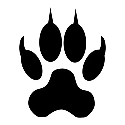 Black Panther SVG Design | SVG Files for Cricut & Print