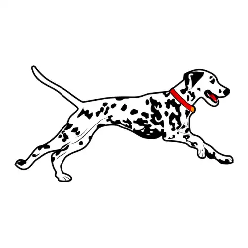 Dalmatians SVG Design | SVG Files for Cricut & Print