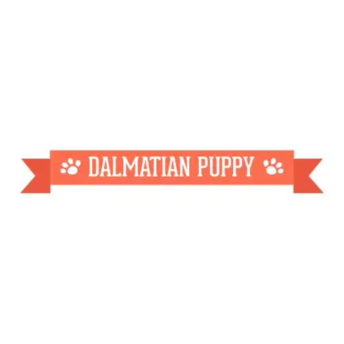 Dalmatians SVG Design | SVG Files for Cricut & Print