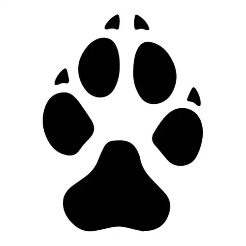 Dalmatians SVG Design | SVG Files for Cricut & Print