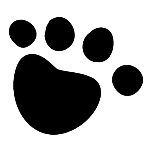 Dalmatians SVG Design | SVG Files for Cricut & Print