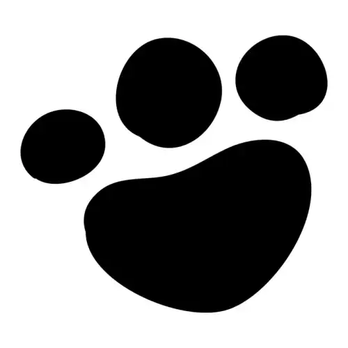 Dalmatians SVG Design | SVG Files for Cricut & Print