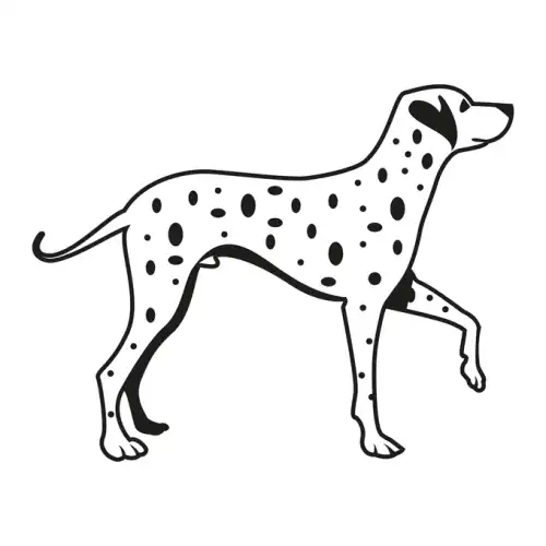 Dalmatians SVG Design | SVG Files for Cricut & Print