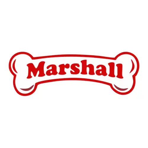 Paw Patrol SVG Design | SVG Files for Cricut & Print