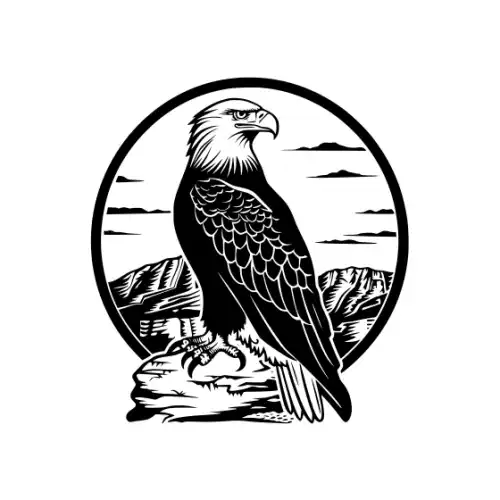 American Eagle Silhouette SVG Design | SVG Files for Cricut & Print