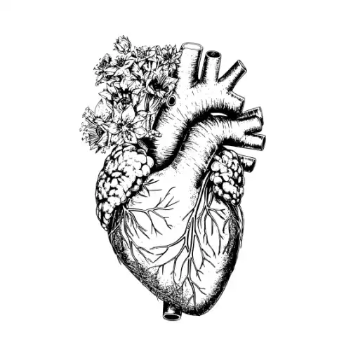 Anatomical Flroal Heart Silhouette SVG Design | SVG Files for Cricut & Print