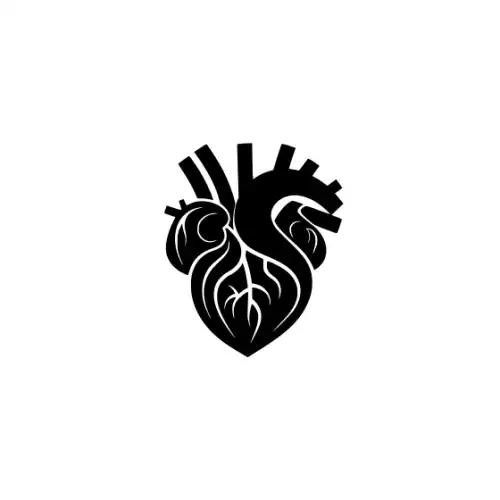 Anatomical Flroal Heart Silhouette SVG Design | SVG Files for Cricut & Print