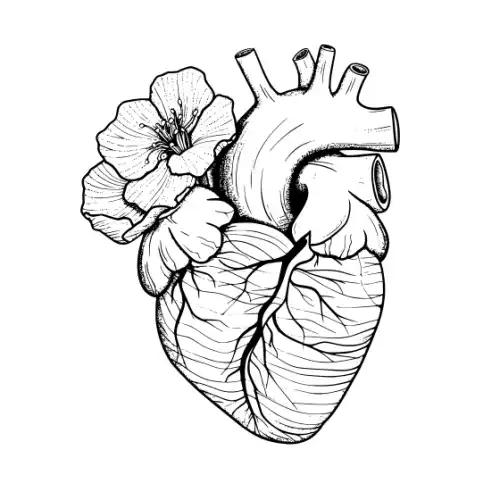 Anatomical Flroal Heart Silhouette SVG Design | SVG Files for Cricut & Print