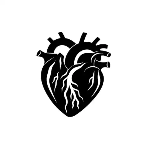 Anatomical Flroal Heart Silhouette SVG Design | SVG Files for Cricut & Print