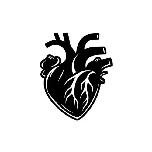 Anatomical Flroal Heart Silhouette SVG Design | SVG Files for Cricut & Print