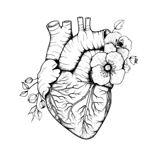 Anatomical Flroal Heart Silhouette SVG Design | SVG Files for Cricut & Print