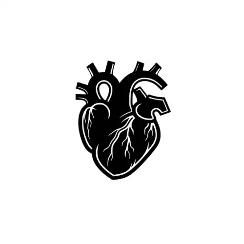 Anatomical Flroal Heart Silhouette SVG Design | SVG Files for Cricut & Print