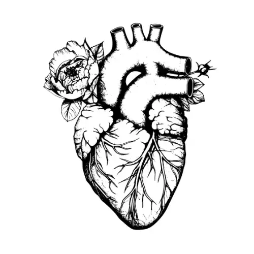 Anatomical Flroal Heart Silhouette SVG Design | SVG Files for Cricut & Print