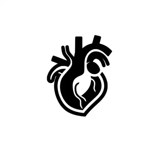 Anatomical Flroal Heart Silhouette SVG Design | SVG Files for Cricut & Print